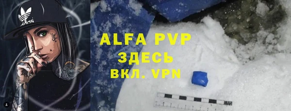 стафф Алзамай