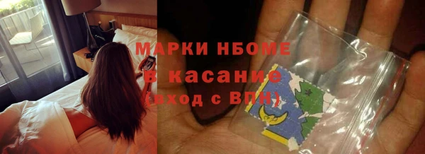 стафф Алзамай