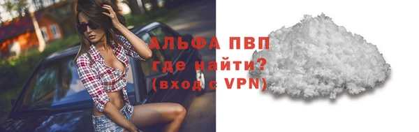 стафф Алзамай