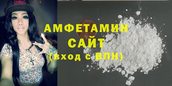 шишки Аркадак