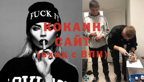 шишки Аркадак