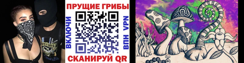 блэк спрут как войти  Черкесск  Галлюциногенные грибы Magic Shrooms  наркошоп 